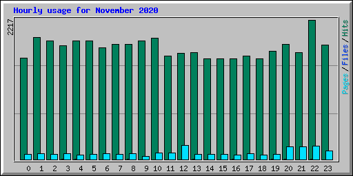 Hourly usage for November 2020